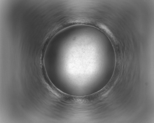 X0000071390585200607071910
