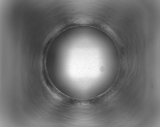 X0000071390586200607071910