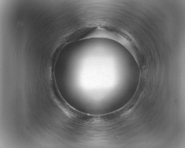 X0000071390589200607071910