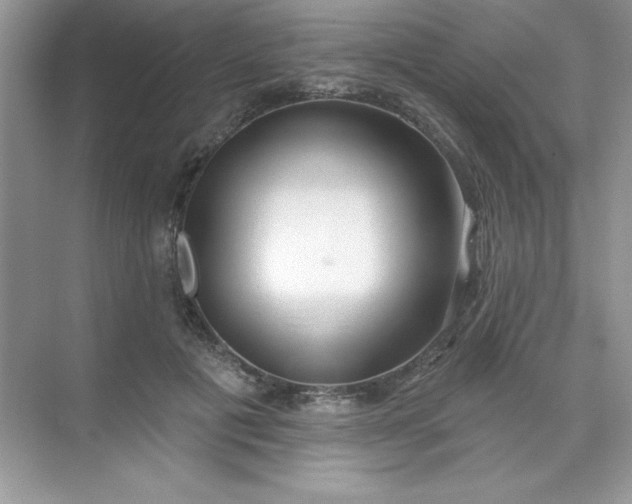 X0000071390601200607071910