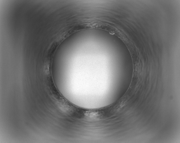 X0000071390602200607071910