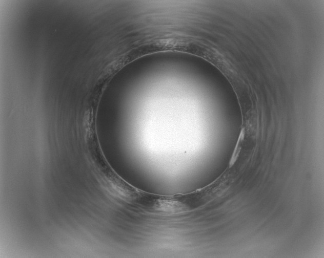 X0000071390605200607071910