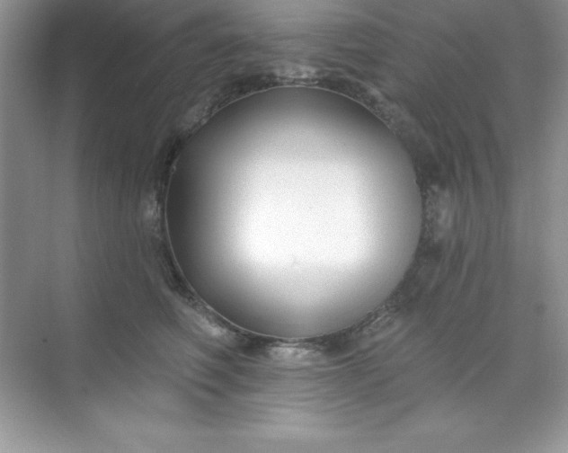 X0000071390614200607071910