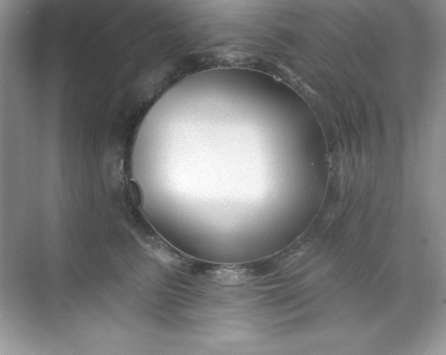 X0000071390615200607071910