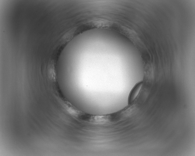 X0000071390622200607071910