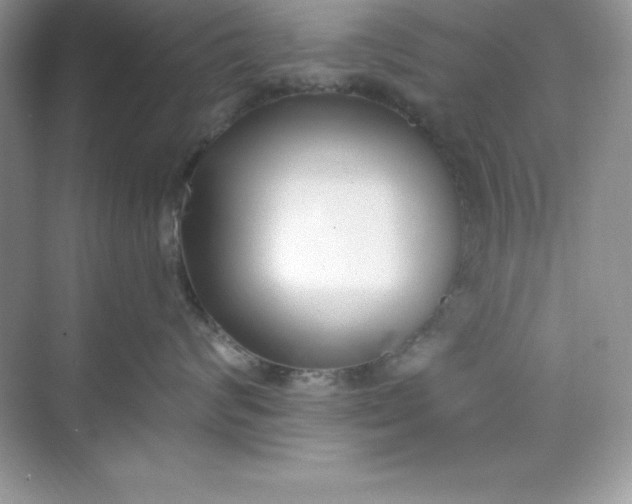 X0000071390624200607071909
