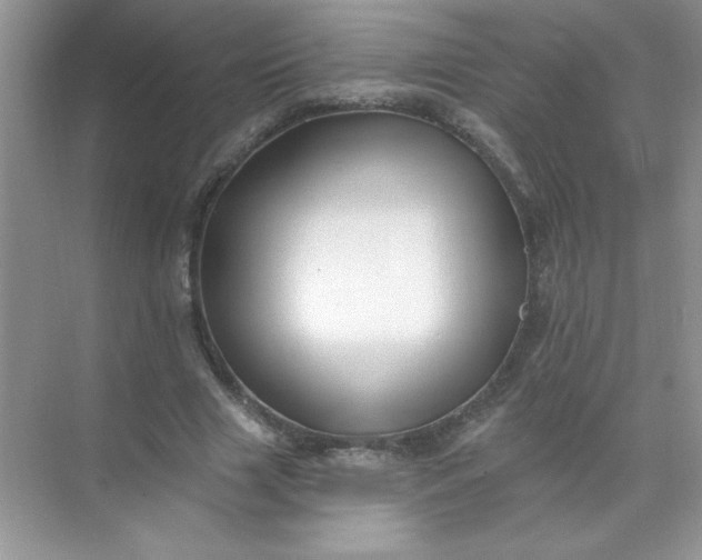 X0000071390633200607071909