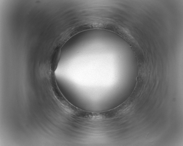 X0000071390645200607071909