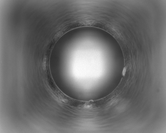 X0000071390647200607071909