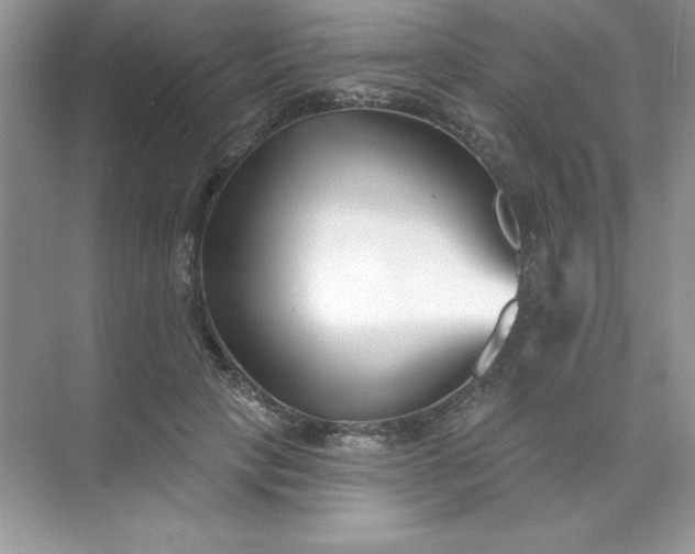 X0000071390649200607071909