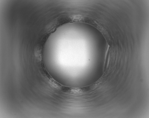 X0000071390666200607071909