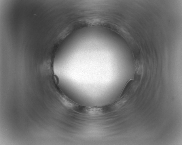 X0000071390670200607071909