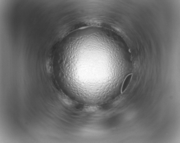 X0000071390671200607071909