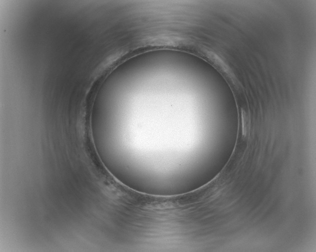 X0000071390675200607071909