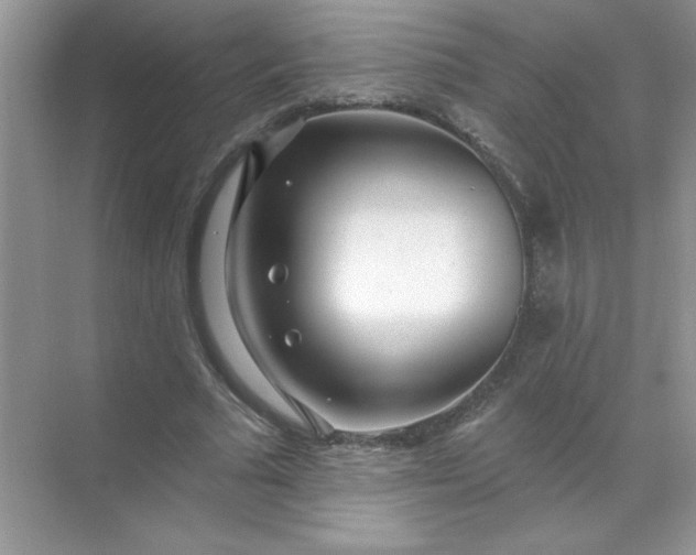 X0000071390681200607071909