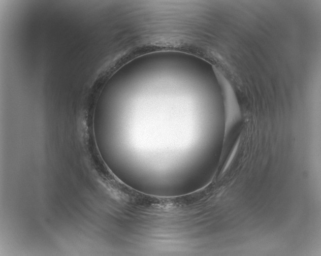 X0000071390688200607071908
