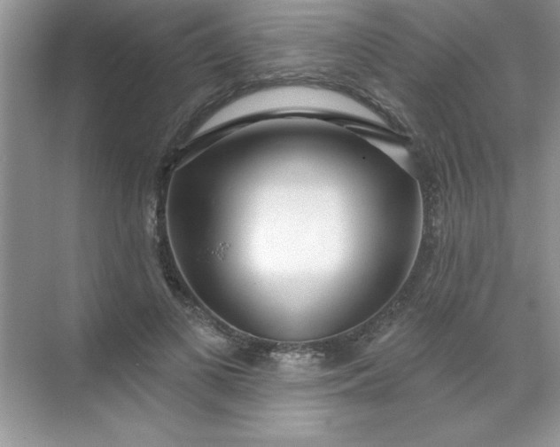 X0000071390693200607071908