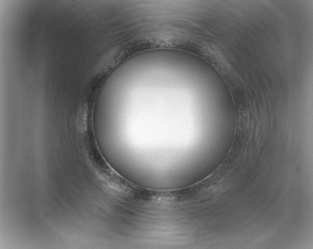 X0000071390694200607071908