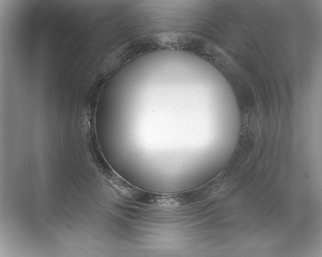 X0000071390702200607071908