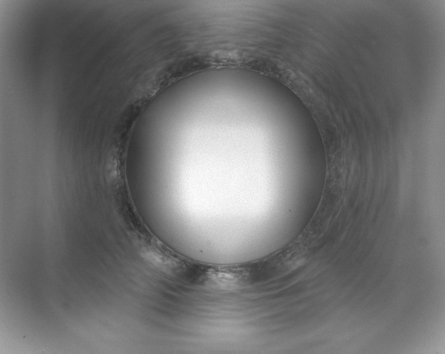X0000071390706200607071908