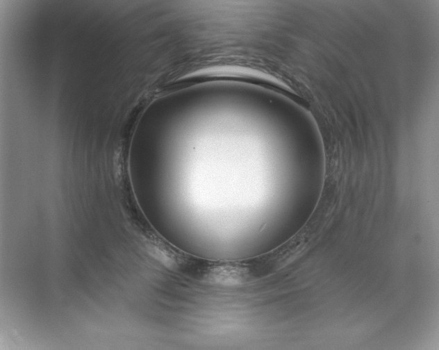X0000071390708200607071908