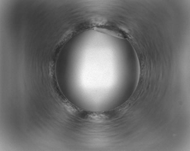 X0000071390712200607071908