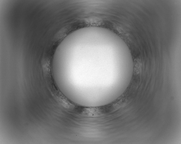X0000071390713200607071908