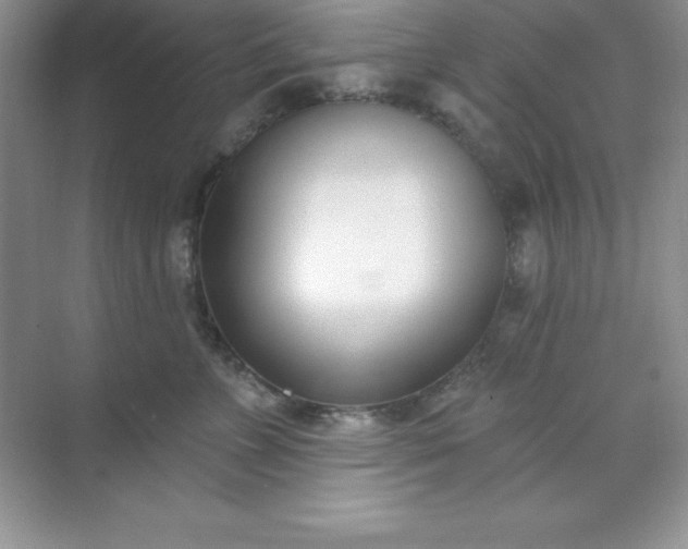 X0000071390715200607071908