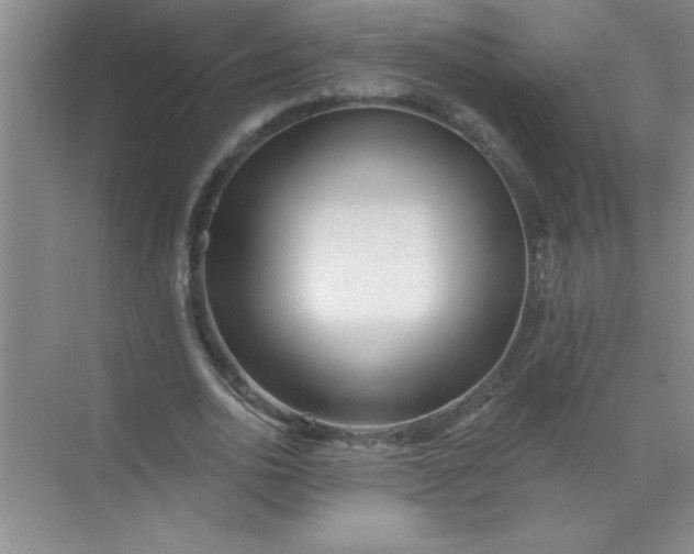 X0000071390726200607071907
