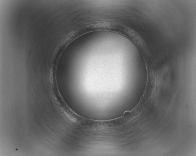 X0000071390729200607071907