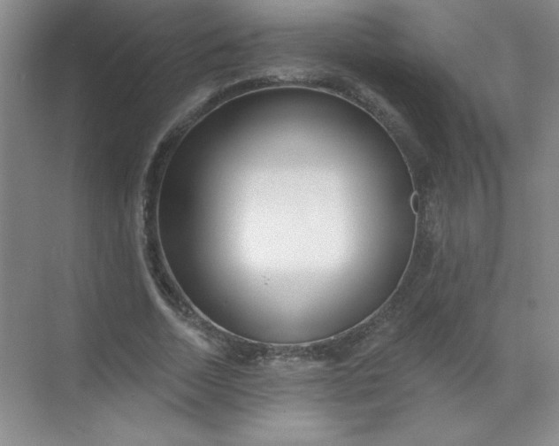 X0000071390730200607071907