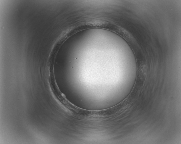 X0000071390734200607071907