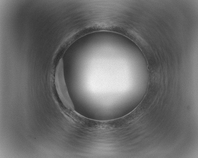 X0000071390736200607071907