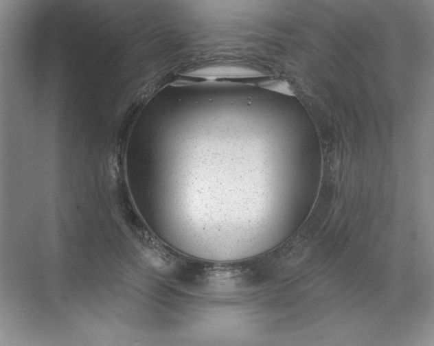 X0000071390746200607071907