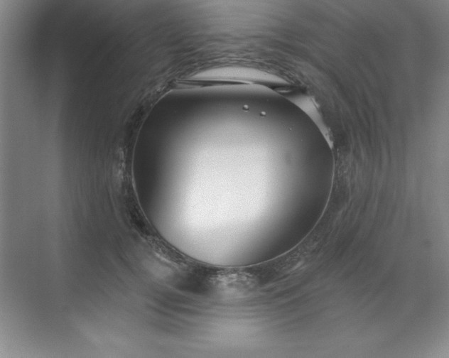 X0000071390752200607071908