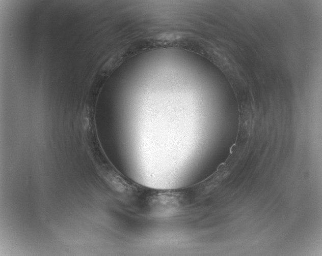 X0000071390758200607071908