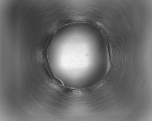 X0000071390764200607071908