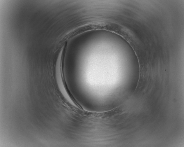 X0000071390773200607071907