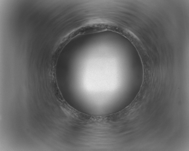 X0000071390775200607071907