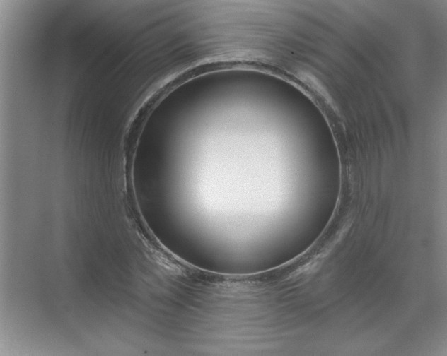 X0000071390781200607071907