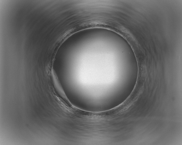 X0000071390785200607071907