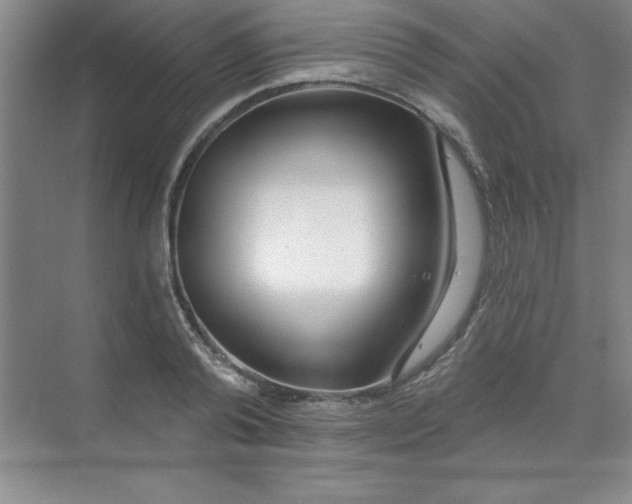 X0000071390792200607071907