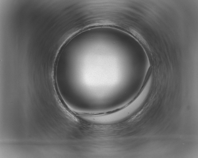 X0000071390797200607071907