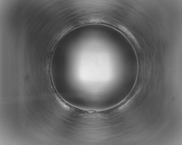 X0000071390801200607071907