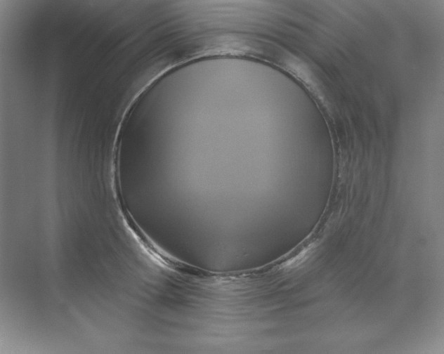 X0000071390802200607071907