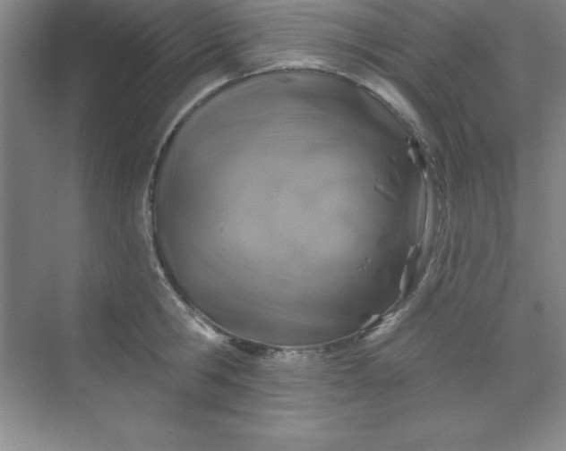 X0000071390806200607071906