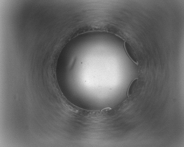 X0000071390817200607071905