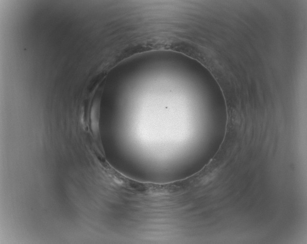 X0000071390818200607071905