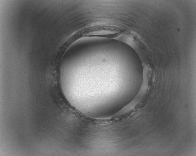 X0000071390822200607071906