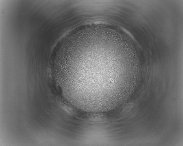 X0000071390823200607071906